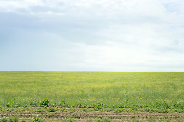 Image showing solar meadow