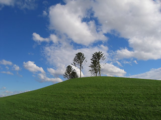 Image showing Hill at Docklands park