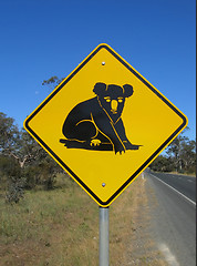 Image showing Beware of koalas