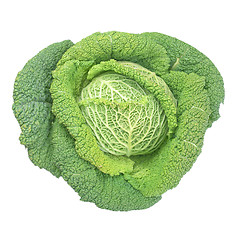 Image showing Green cabbage isolated