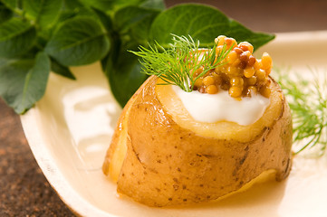 Image showing Baked potato with sour cream, grain Dijon mustard and herbs