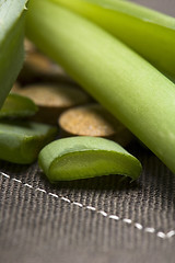 Image showing aloe vera plant with pills - herbal medicine