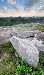 Image showing sunrise in the jungles