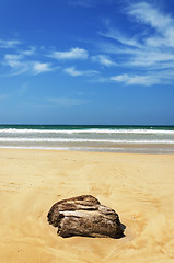 Image showing stones in the waves on ocean coast