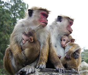 Image showing Mother and child close-up