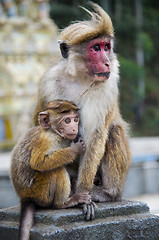 Image showing Mother and child close-up