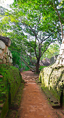 Image showing footpath in a park near mount Sigiriya, Sri Lanka (Ceylon).