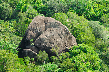 Image showing rock in the jungle 