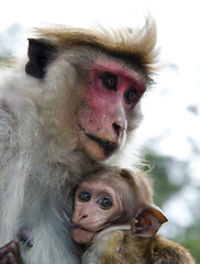 Image showing Mother and child close-up