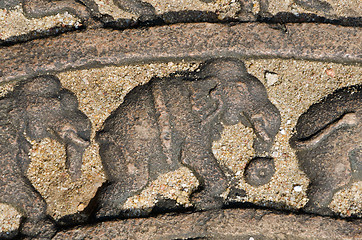 Image showing elephants on the lunar rock of ancient Vatadage