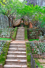 Image showing steps and the ruins of the royal palace and the park of Sigiriya