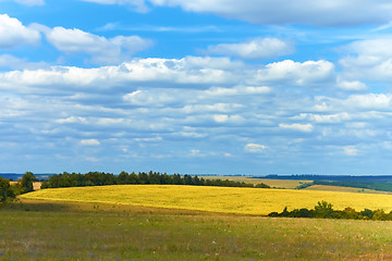 Image showing Rural landscape