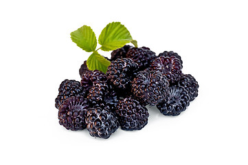Image showing Blackberries with leaf