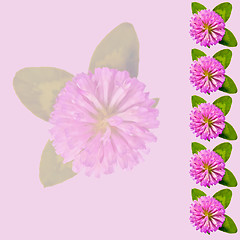 Image showing Frame with clover on a pink background