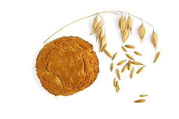 Image showing Oatmeal cookies with a stem of oats and grains