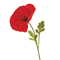 Image showing Poppy red