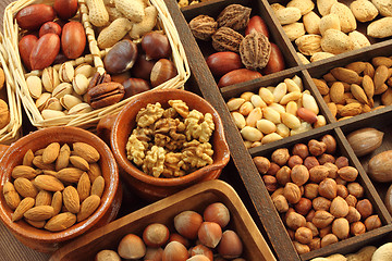 Image showing Nuts