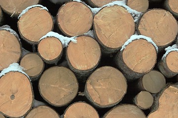 Image showing Timber