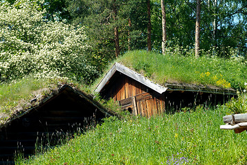 Image showing Old, Norwegian log cabins