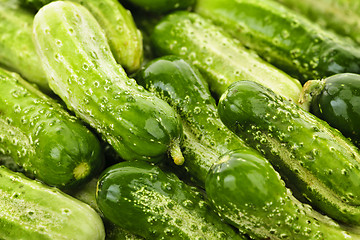 Image showing Cucumbers background