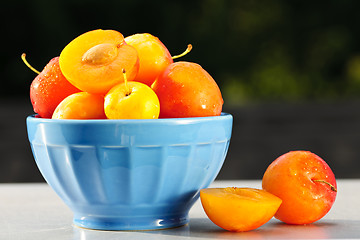 Image showing Plums in bowl