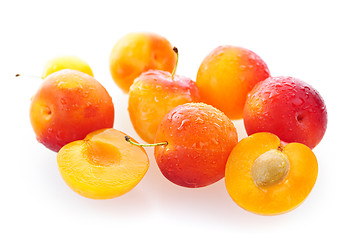 Image showing Yellow plums