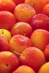 Image showing Plums background