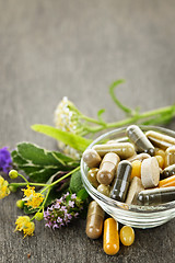 Image showing Herbal medicine and herbs