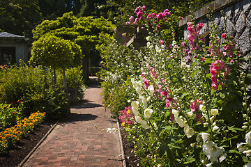 Image showing Colorful flower garden