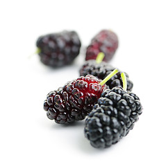 Image showing Mulberries close up