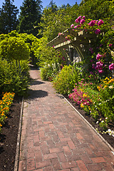 Image showing Flower garden with paved path