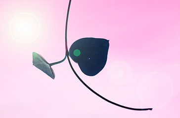 Image showing leaf in pink sky