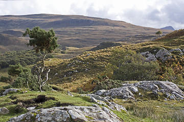 Image showing rural landscape in the scottish highlands