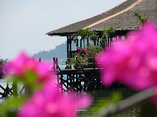 Image showing Tropical scene