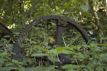 Image showing rusty gear wheel