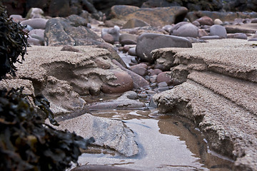 Image showing closeup of costal scene