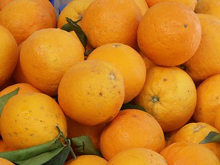 Image showing Spanish Oranges