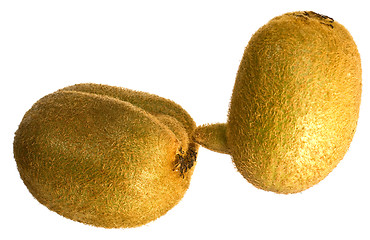 Image showing kiwifruit