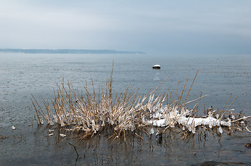 Image showing winter landscape on the shore of the Sea 