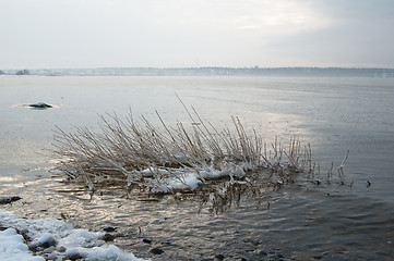 Image showing winter landscape on the shore of the Sea 