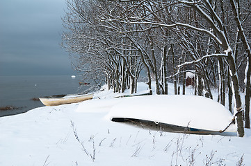 Image showing winter landscape on the shore of the Sea 