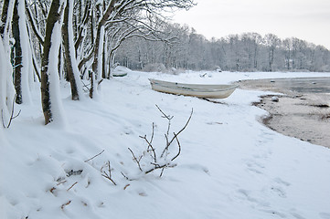 Image showing winter landscape on the shore of the Sea 