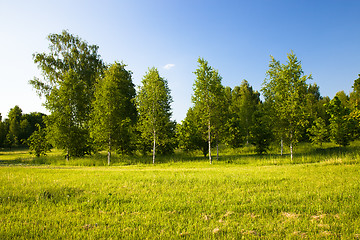 Image showing Park (summer)