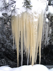 Image showing Icicles 