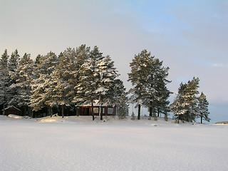 Image showing Winter landscape