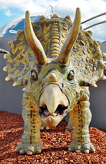 Image showing Triceratops dinosaur
