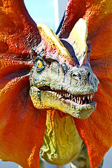 Image showing Dilophosaurus dinosaur with orange collar