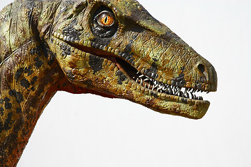 Image showing Deinonychus dinosaur head on white