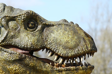 Image showing Dinosaur Tyrannosaurus Rex Head