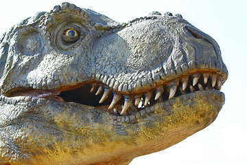 Image showing Dinosaur Tyrannosaurus rex on white
